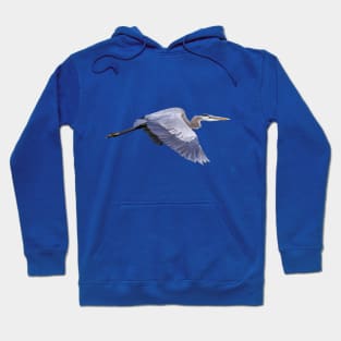 Great Blue Heron Hoodie